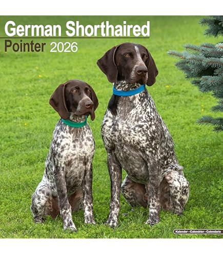 Amazon | ジャーマンショートヘアポインター 2025 12 x 24インチ